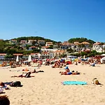 Vela - In Complex Near The *