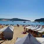 Vela - In Complex Near The