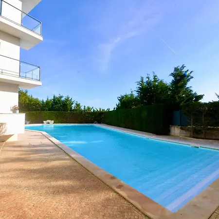 Vela - In Complex Near The