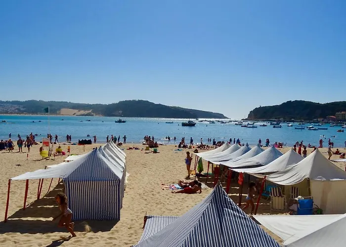 Vela - In Complex Near The